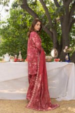 Rasberry ( Farshi Set ) - Image 3