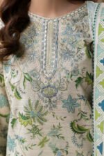 Bell Pepper - Image 3