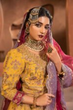Rajkumari - Image 3